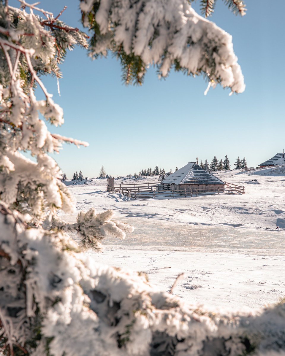 ExploringSlo's tweet image. When Velika Planina turns all white 😍😍😍
Photos by 📸 @rok.leben