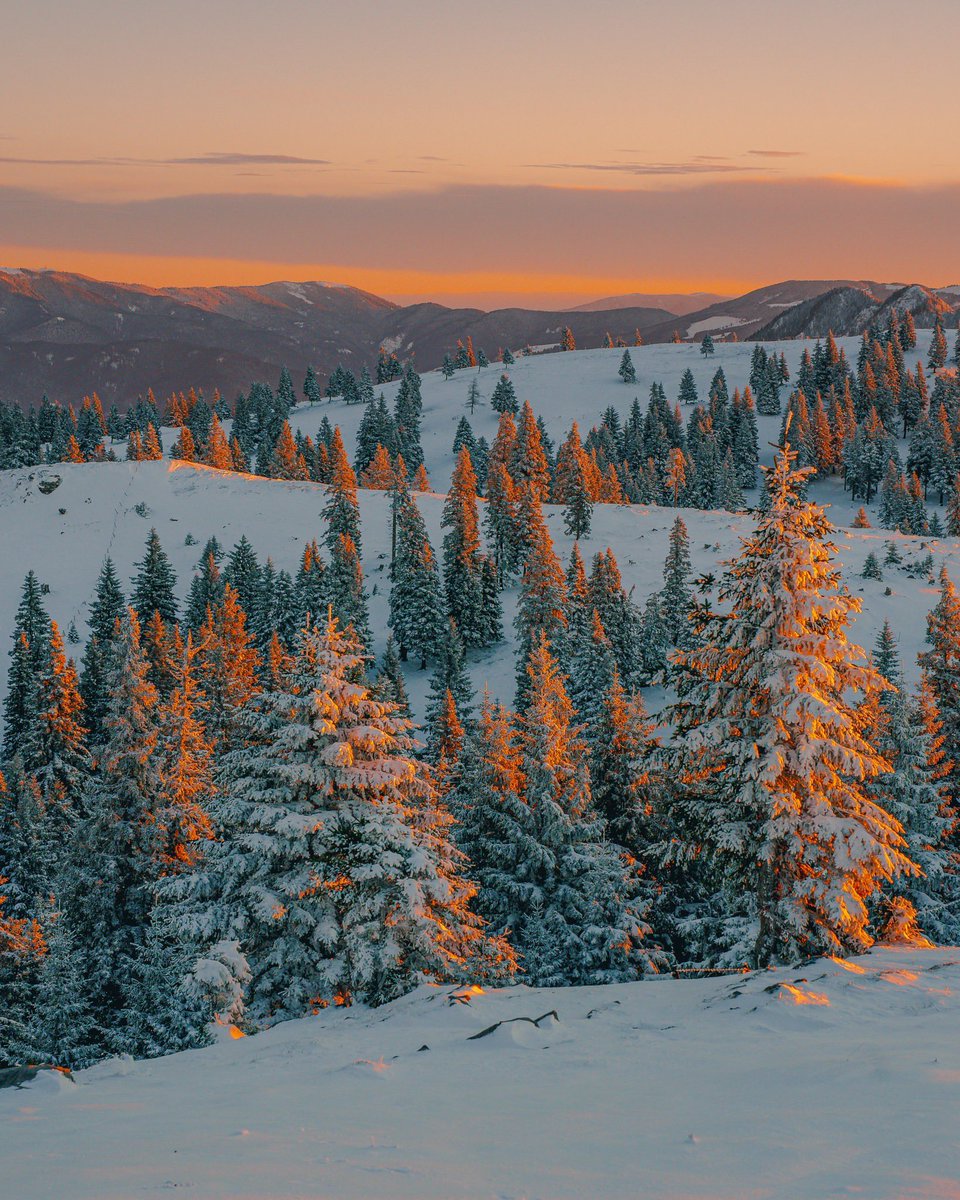 ExploringSlo's tweet image. When Velika Planina turns all white 😍😍😍
Photos by 📸 @rok.leben