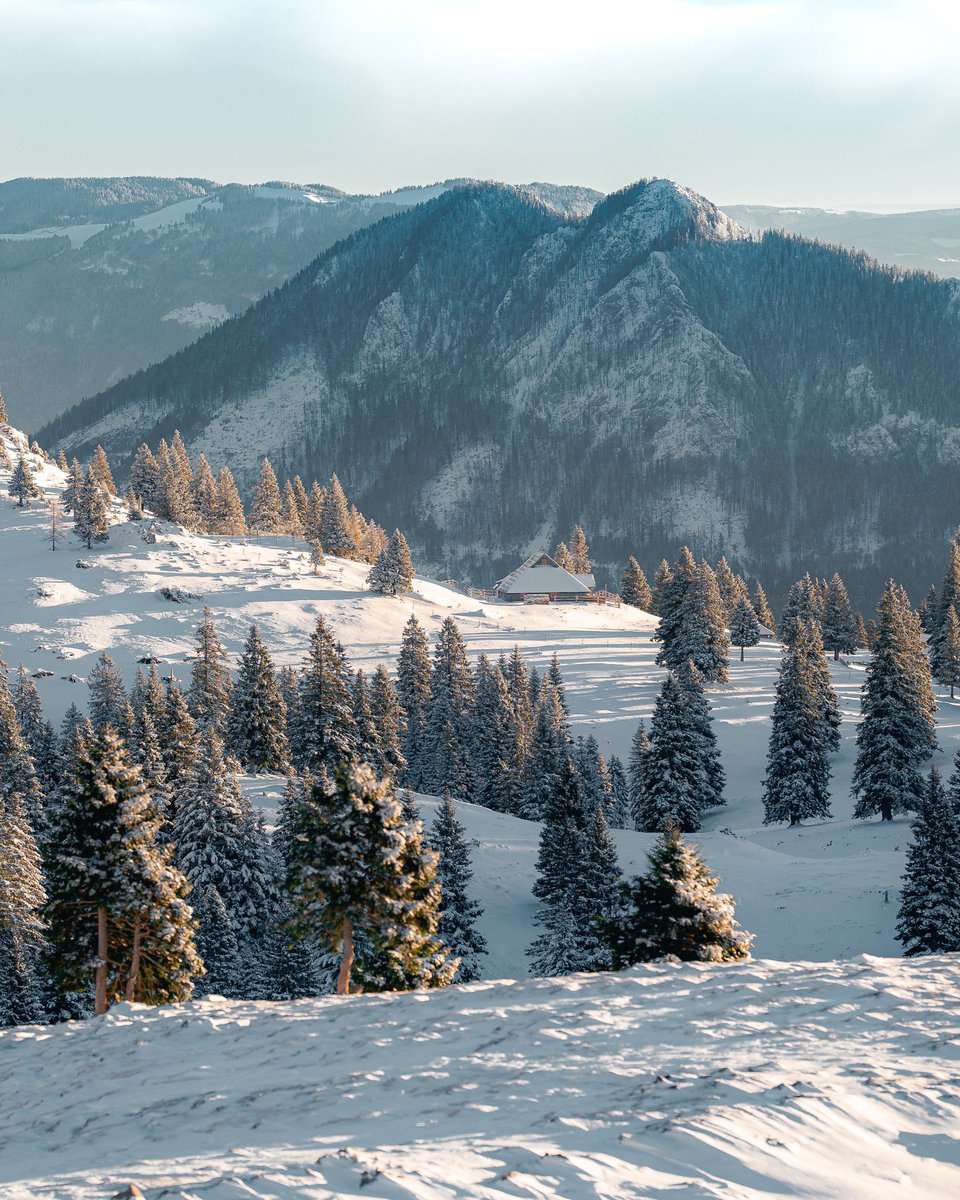 ExploringSlo's tweet image. When Velika Planina turns all white 😍😍😍
Photos by 📸 @rok.leben