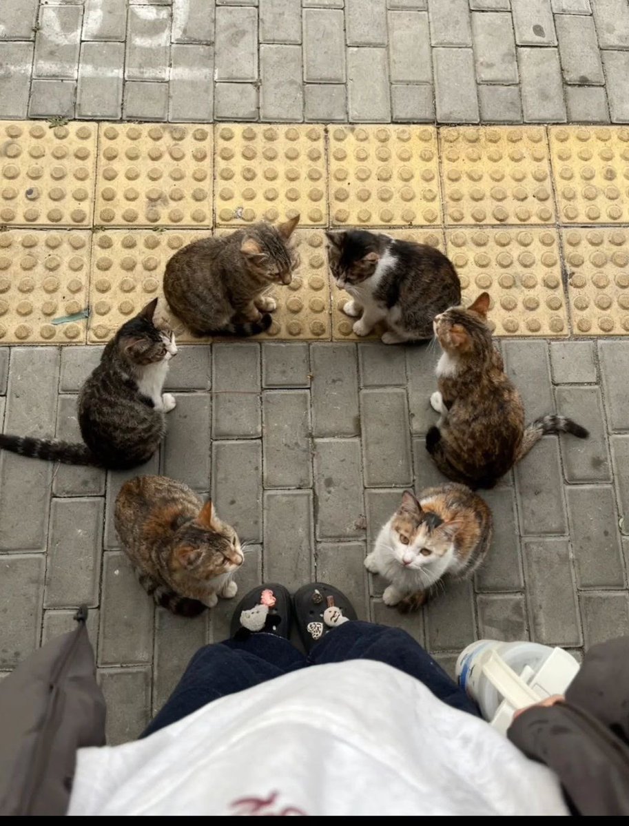 بحر 🌊 (@butterflless) on Twitter photo 