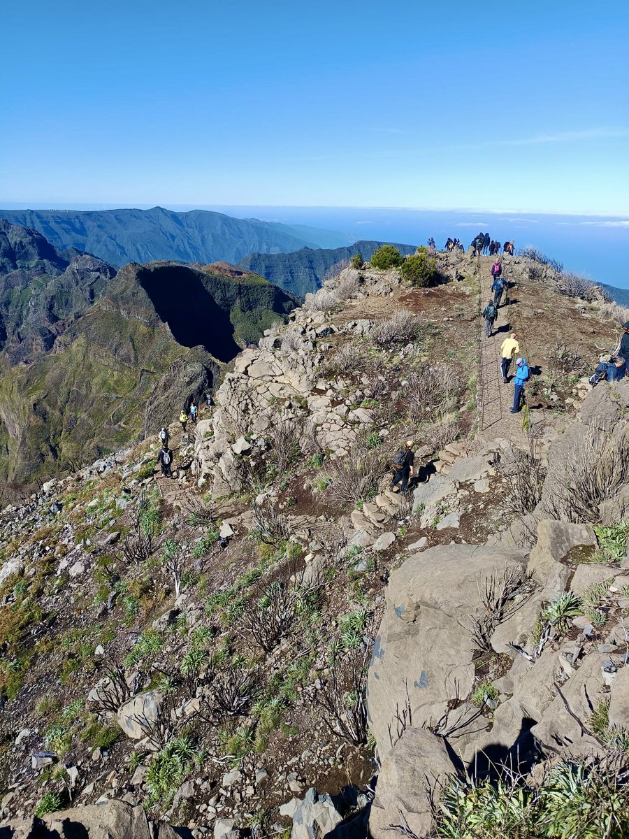 FeelingMadeira's tweet photo. 👣💚 https://t.co/hXNzr2sZP9