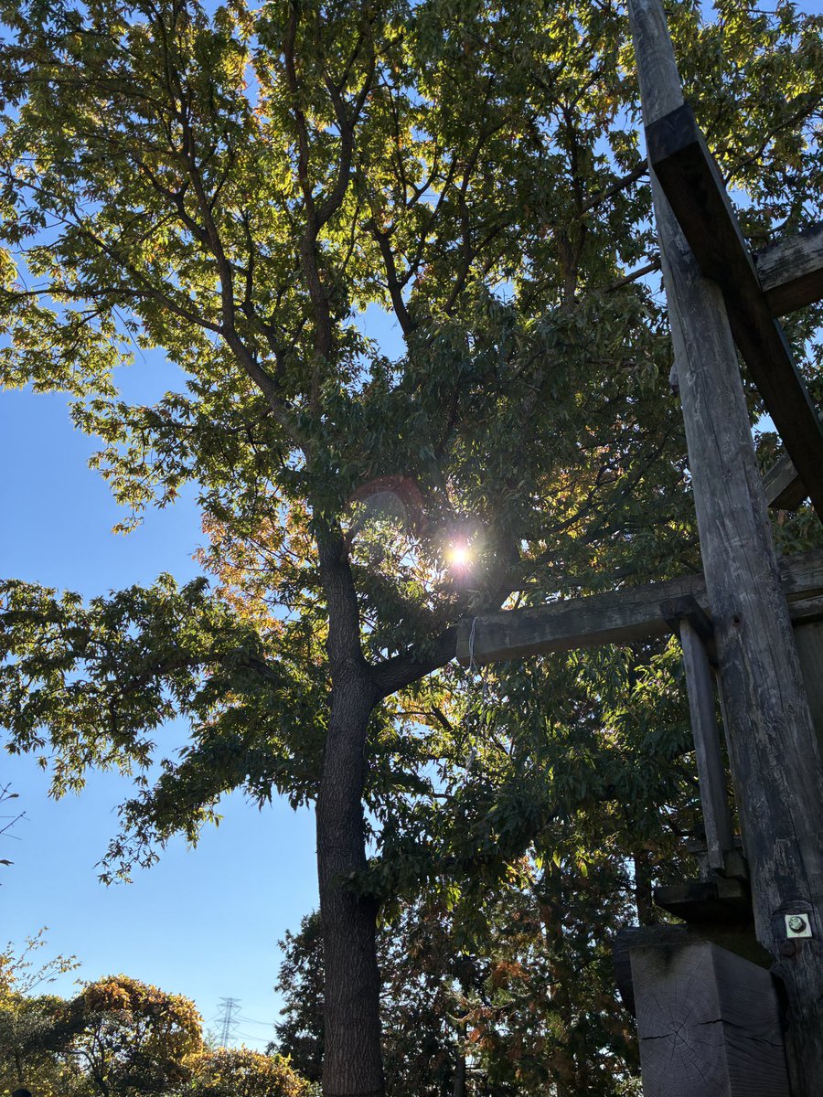 MejiroMc's tweet photo. おはようございます☀️
本日、隔勤業務『現金』です🫡
三連休が終わり、今日から仕事ですが明けでまた休みなので頑張ります👍
できれば映画『東京タクシー』を見に行きたい🎬 https://t.co/j5DlKlyHLZ
