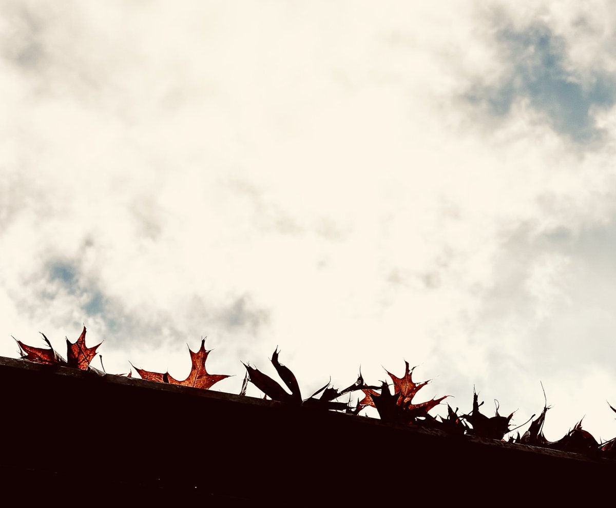 r_u_c_n_o_k_'s tweet image. 