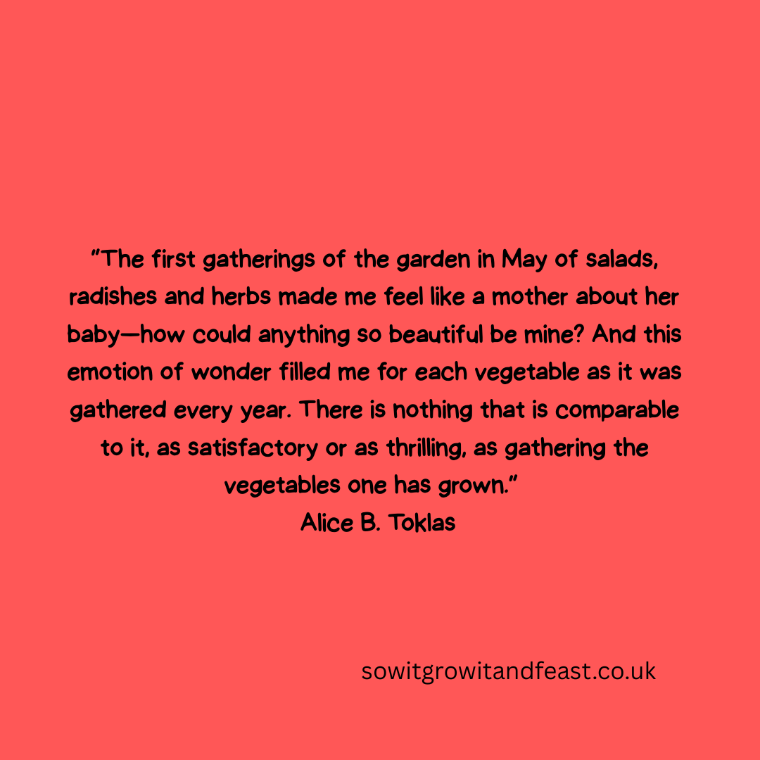 SowGrowFeast's tweet image. Begin your own season of wonder at sowitgrowitandfeast.co.uk
Grow it. Gather it. Love it.

#GrowYourOwn #KitchenGarden #HomeGrownHappiness #GardenJoy #VegPatch #OrganicGardening #GardenMagic #SpringHarvest #SowItGrowItAndFeast