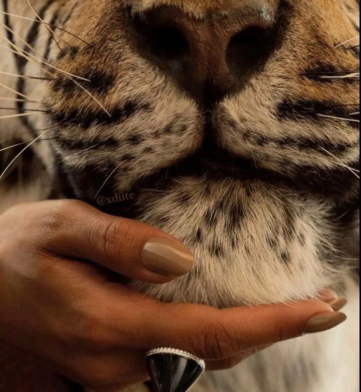 k4rinaruby's tweet photo. Me pergunto porque você continua esperando loucamente por uma mudança, resultados ou qualquer coisa externa que te de o gostinho da validação, sendo que você mesmo repete que já tem, que é criador da sua realidade. Essa linha de raciocínio faz sentido pra você? https://t.co/F1lJSSS6M2