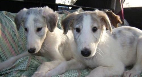 𝜗℘ ༝༝ Ꭰᥲᥒᥒᥡ 𐂯 𓌔𓌔 🎶 tweet media