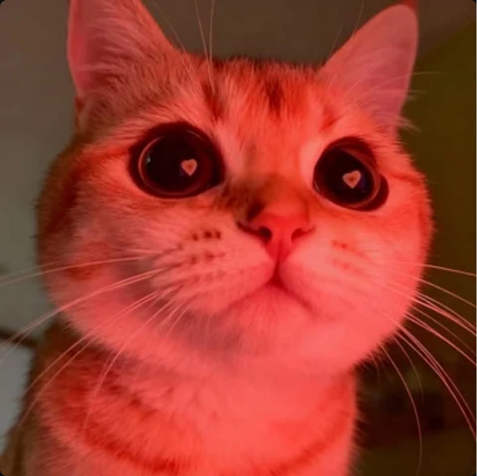 BluecoreXD's tweet image. Cuando ella piensa que no se ve bien pero en realidad es la chica más wapa, hermosa, fascinante, linda y encantadora que han visto mis ojos: 😍