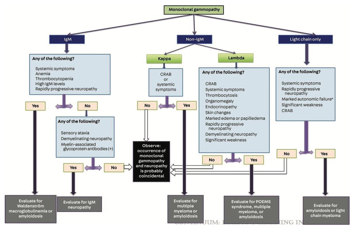 Carlos Moreno tweet media