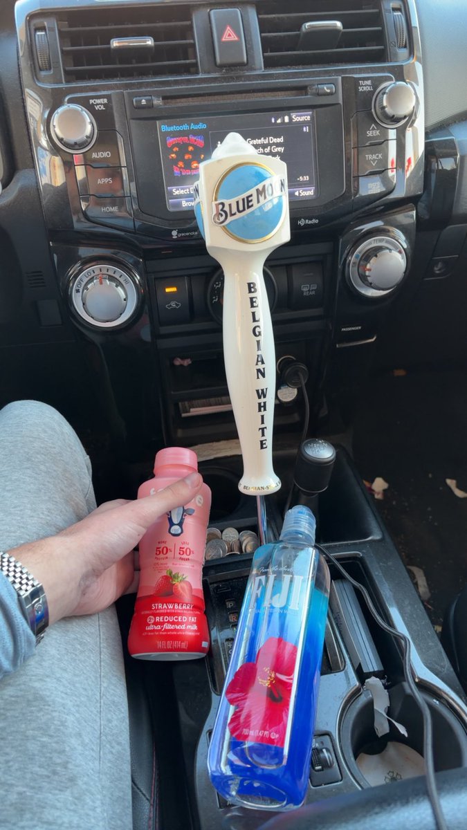 Road trip essentials fuck your hot chips minority!