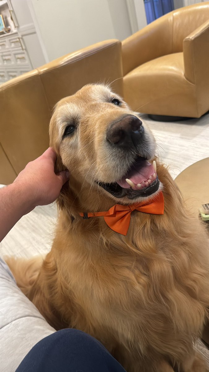 David Langston, MD. tweet media