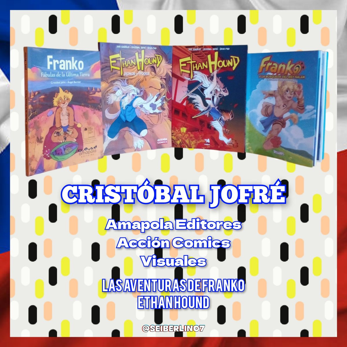 Seiberlin 🇨🇱 tweet media