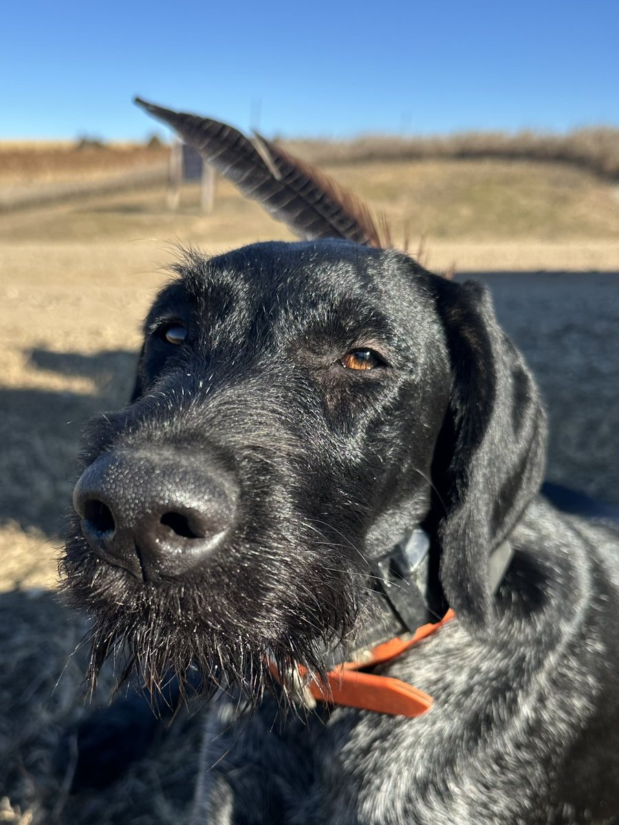 Wut??????? Is disguise.  Shhh.