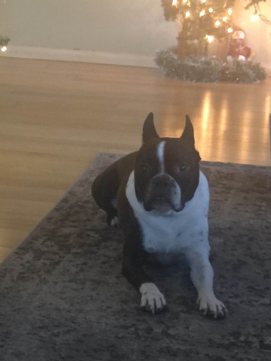 cuparooo tweet media