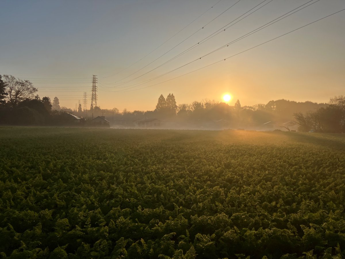 Tornade GSXX FL交換 黄色シティ等 2系統出力改造！調整済は動画！ Kawasaki_Green (@IWZhSLp7k29AsoC) / Posts / X