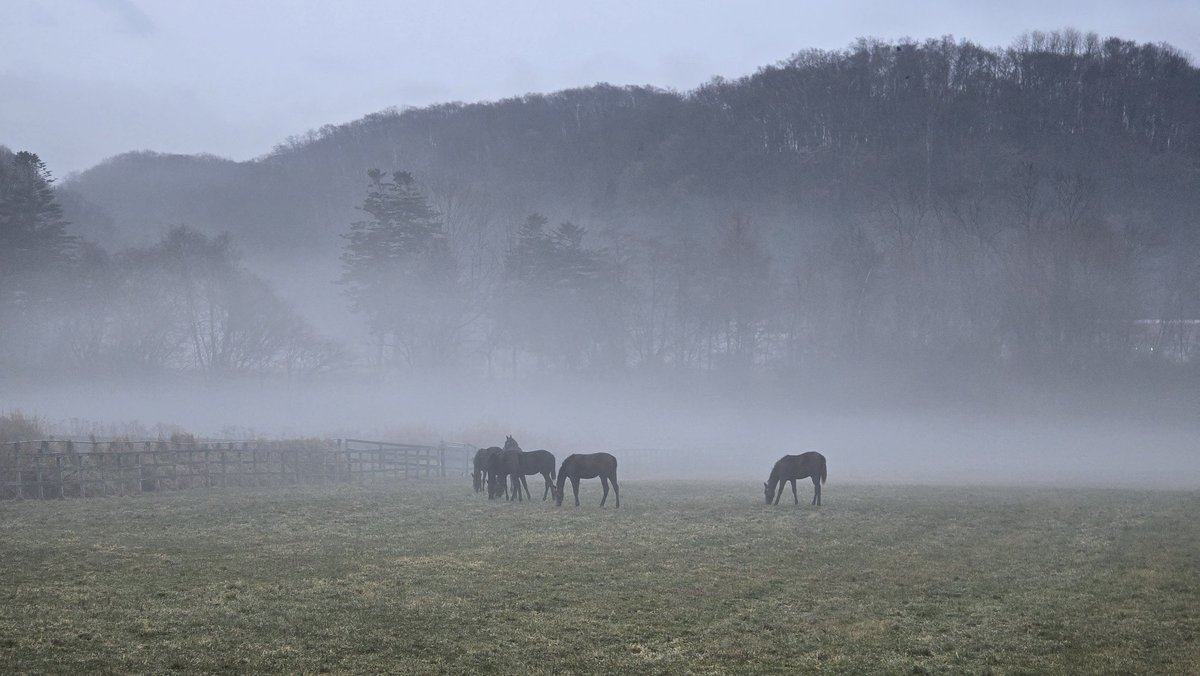 t_f_2nd's tweet image. 今朝はプラス気温
4~5℃位だと暖かく感じるのは体が冬モードになってきたってことだな💦