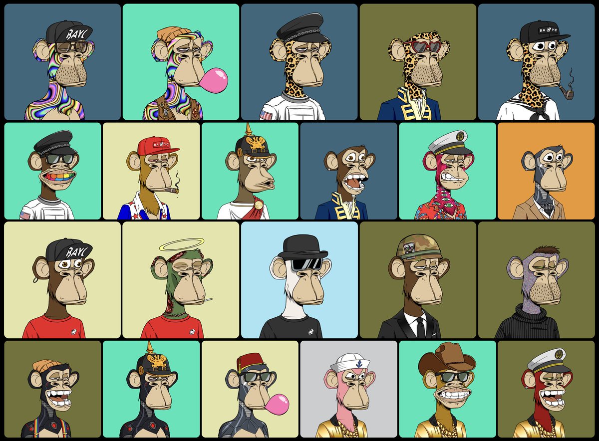 1K 🟦 🟥 tweet media