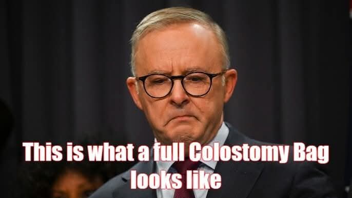 Kmtok's tweet photo. @AlboMP https://t.co/QnlcLJ4HZo