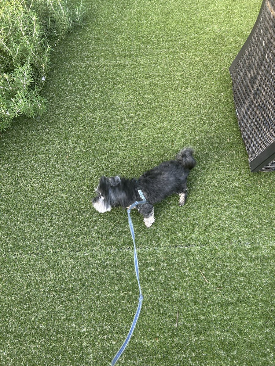 Sauna_Guide's tweet image. おはようございます☀

昨日は映画から帰ってきて、
そのまま“上映後のアフター飲み会 in 自宅”を開催🍺😂
気づけば深夜…布団までの記憶はエンディングロール並みに曖昧💤

でも今日は 休日最終日。
人間ってこういう日に限って、謎にシャキッと目が覚めるんですよね☀️…