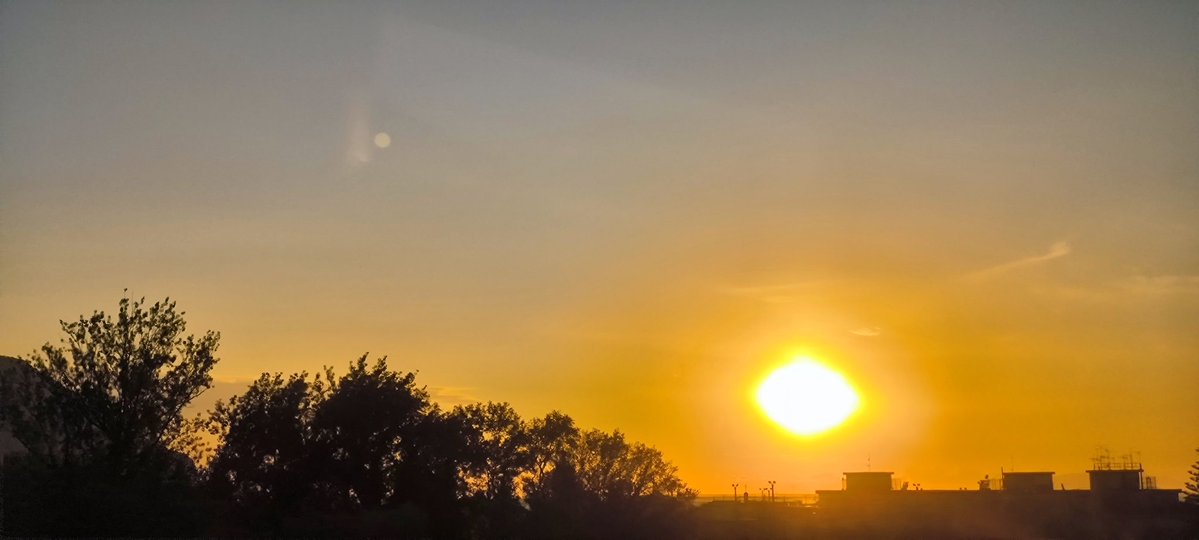 fotoautotrofo's tweet image. Todo lo que amas se aleja 
salvo el amor,
todo lo que sabes es falso
salvo la certeza en tu interior,
todo lo que te arropa se esfuma
salvo tú vibración,
todo lo eterno muere
salvo la dulce sensación 
de que ya fuiste lo que quiero 
y los serás mil veces
hasta que estalle el Sol.