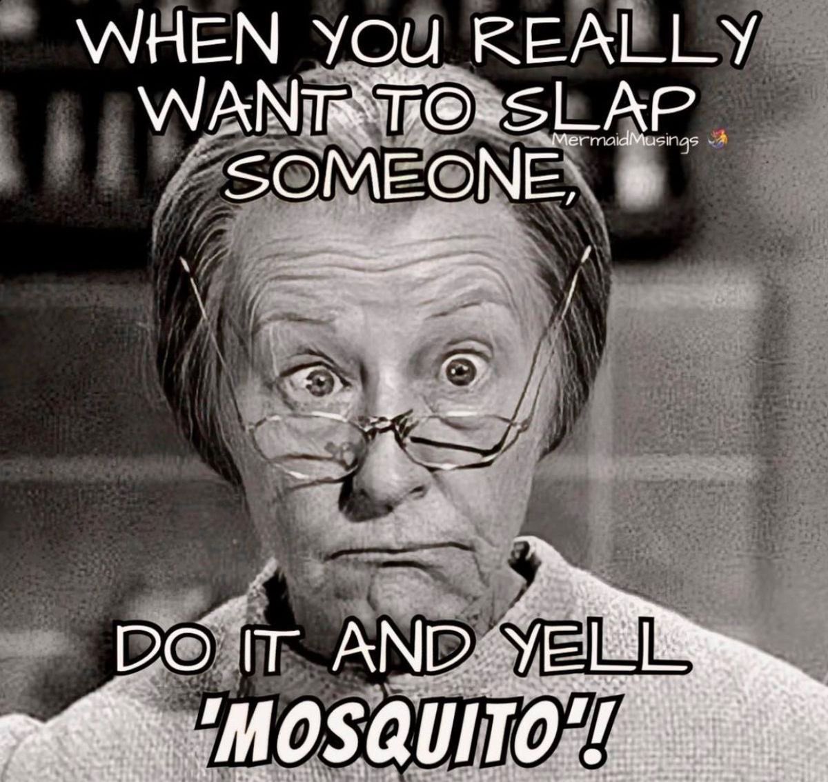 Look Who Wants to Go First ,😂🤣🤣
I really Want to Slap Someone.