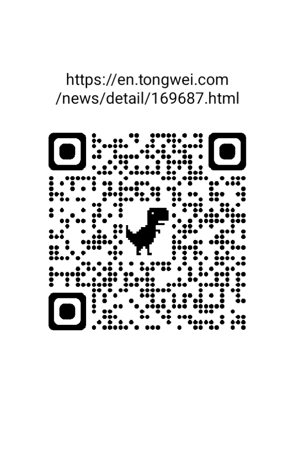 FestilaOvidiu's tweet image. {Xinhua News Ag[.]PV Technology Anchors on Crystalline Silicon Core, High-Density Modules as Key to Breakthrough}(source of this written material and photo from this post➡️site en.tongwei.com).🙂☀️👍👍👍,🟢 #TongweiSolar 🥇✌️
 #DialoguewithLightChasers 🟢 @Tongwei_Solar
