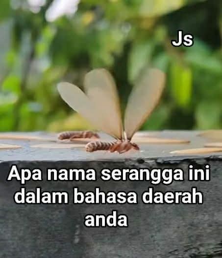 Ketawa itu GRATIS 🛩 tweet media