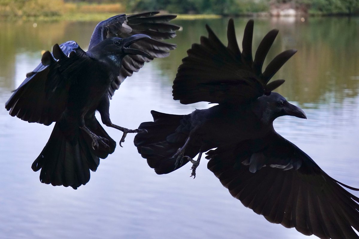 二川英一 / HIDE Futakawa tweet media