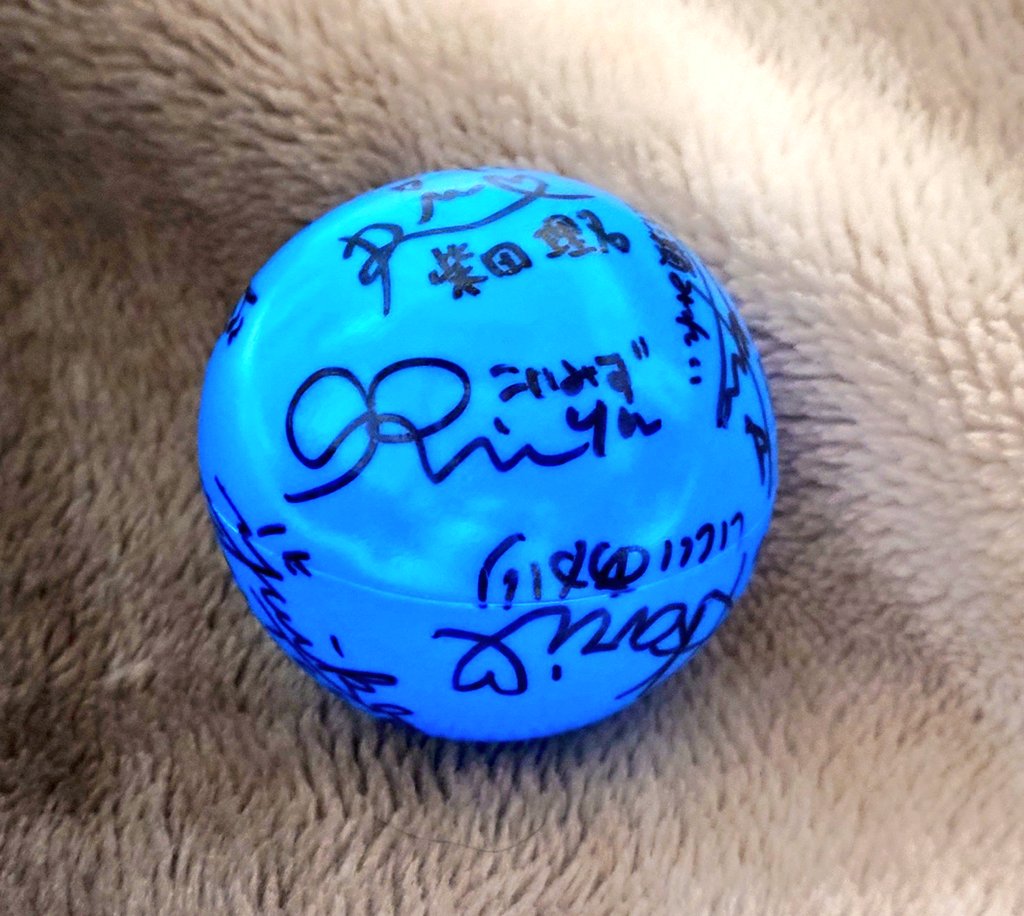 煮ル果実　クッション　【　サイン入り　】 グッチョイ新潟日帰り遠征めっちゃ楽しかった！ TCCサイン入りボールも