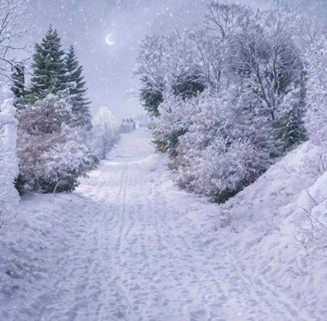 cehaujotbei's tweet photo. kielecki śnieg jest piękny https://t.co/SgcRS4z0m4