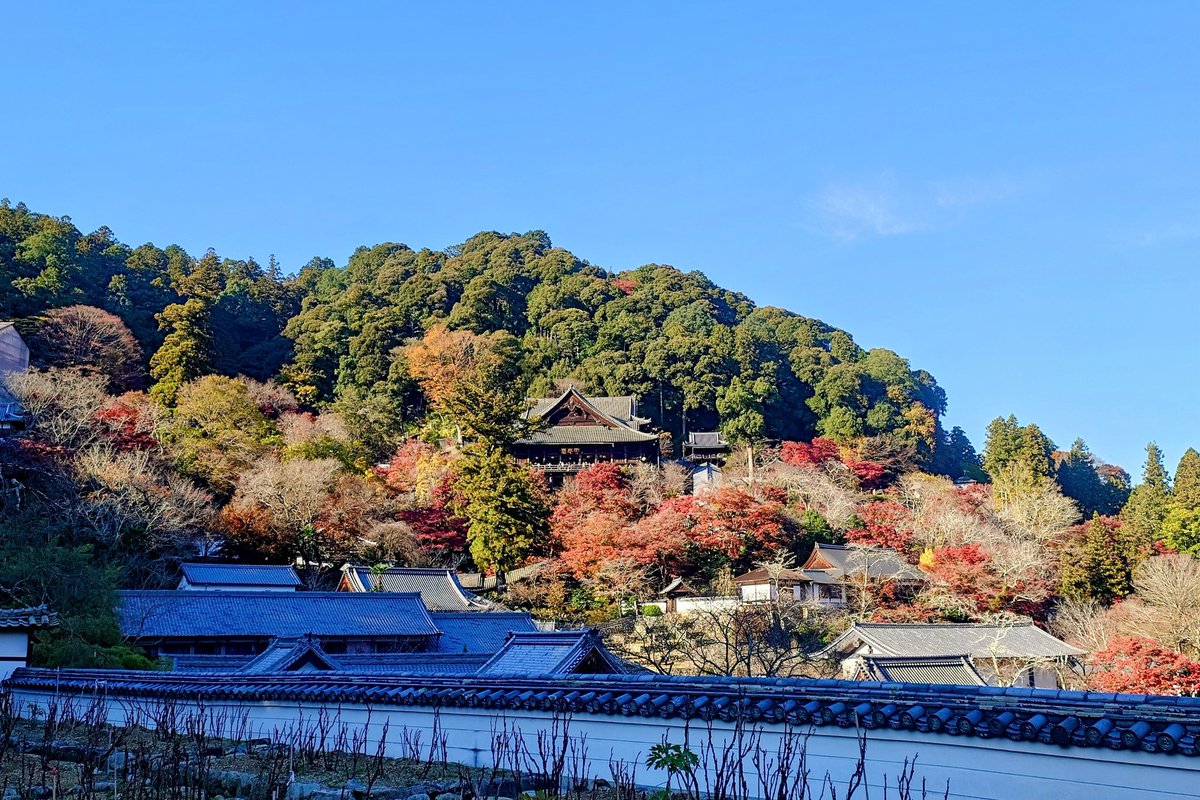 SyHatsu's tweet image. アウトドアは１日だけでしたが絶好の行楽日和でしたわ☀🍁
#おはパソ #ABCラジオ 
#藤崎健一郎 #板垣菜津美 
#清水とおる