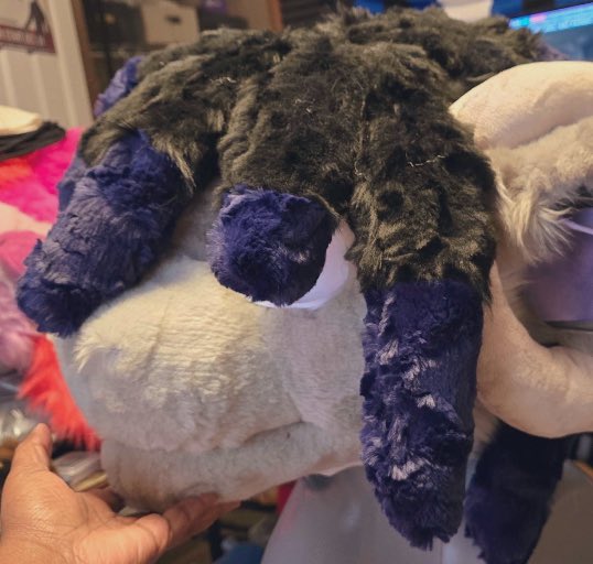 BAJI 🔜 FWA tweet media