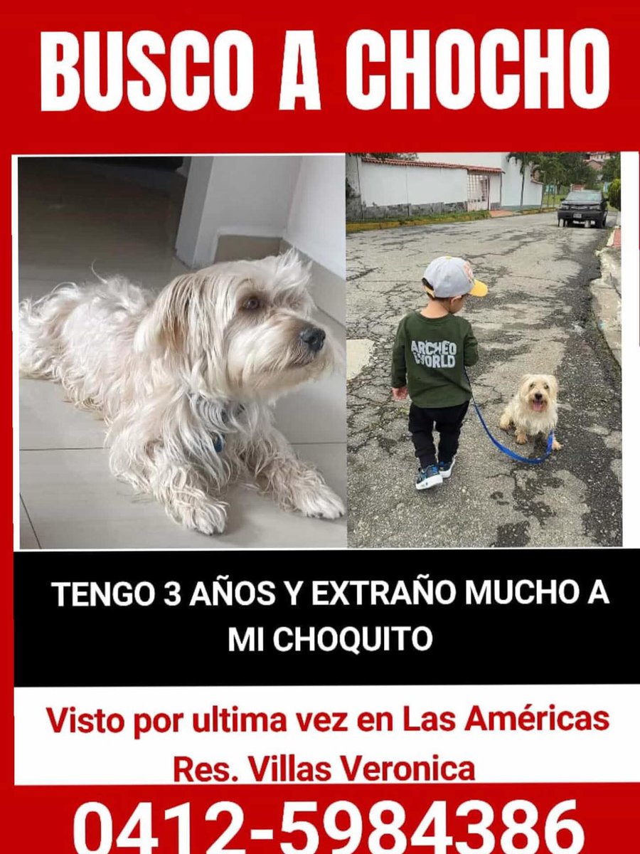 Se busca a Chocho en Mérida Venezuela, Las Américas