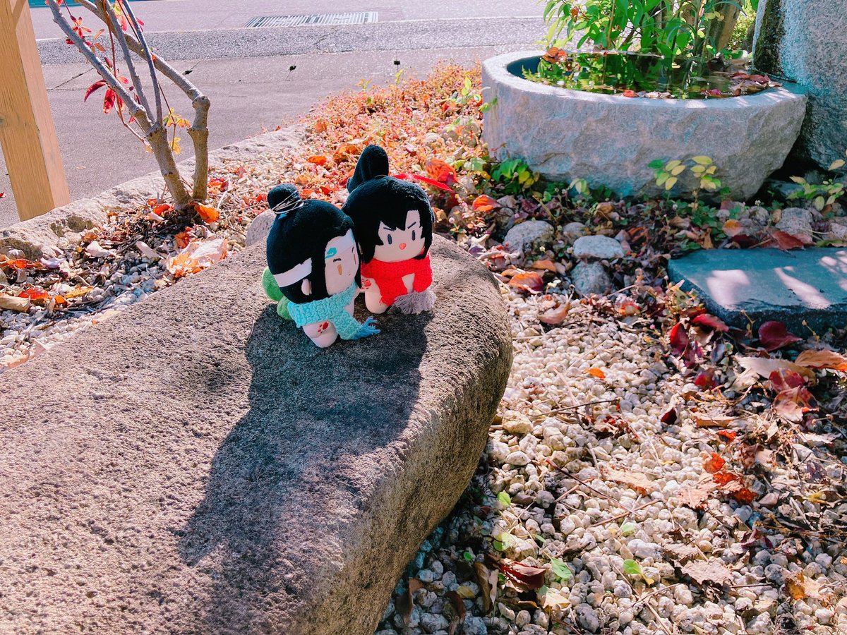 ほたる (@hotaru_1103) / Posts / X