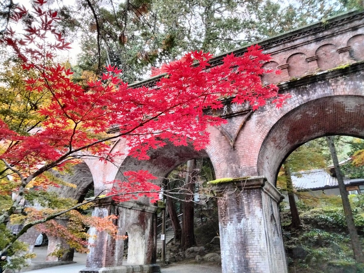 今朝の #南禅寺
紅葉は今週がピークかなと🍁