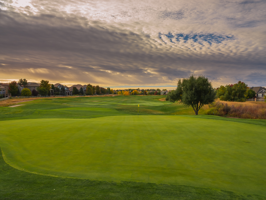 Aurora Golf tweet media