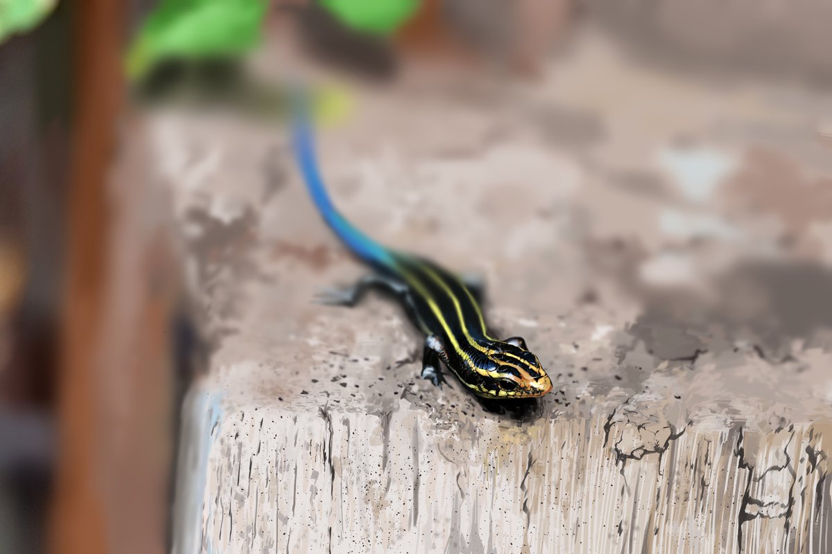 ニホントカゲ（写真模写/９時間）
かなり質感にこだわって模写しました！
Respect: <a href="/arihinoko/">ありヒノコ</a> 
ご結婚・ご出産おめでとうございます！