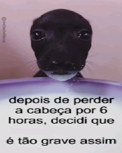 considere o seguinte