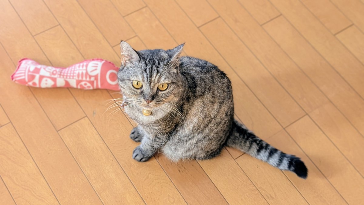 ❗️12月24日から発送中❗️ ねこさん⚡(ΦωΦ) (@catnap707) / Posts / X