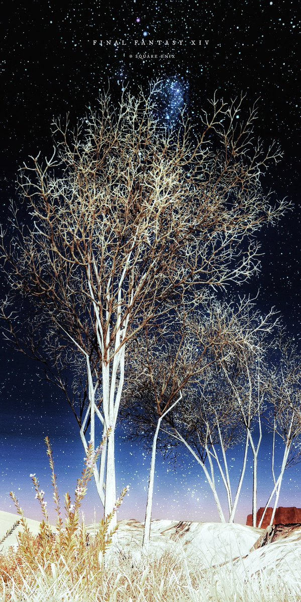 -Sagolii Desert-

#FF14風景
#FF14SS