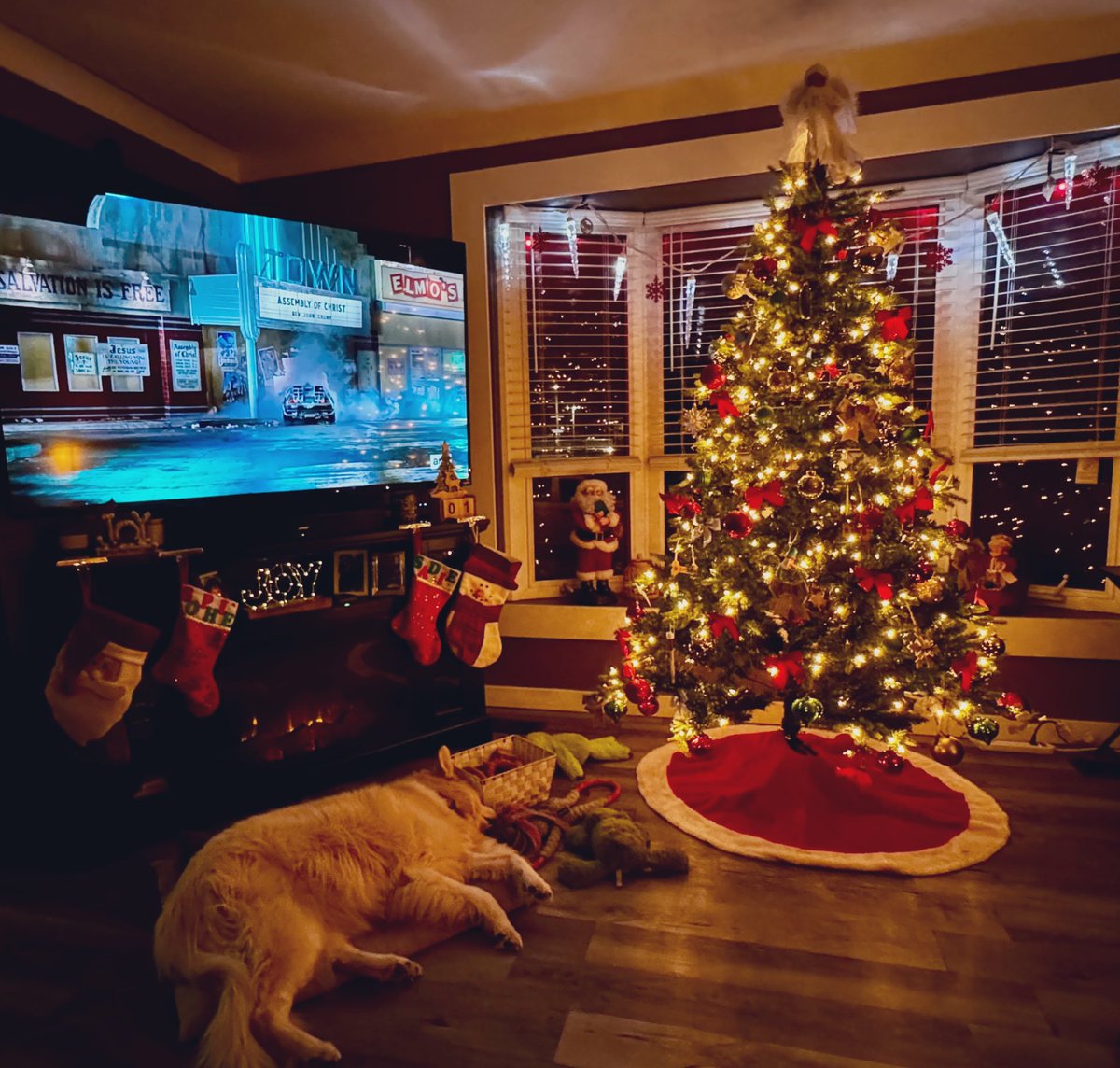 sadie_424's tweet image. This is truly the best life. ♥️ #ComfyCozy #RescueDog