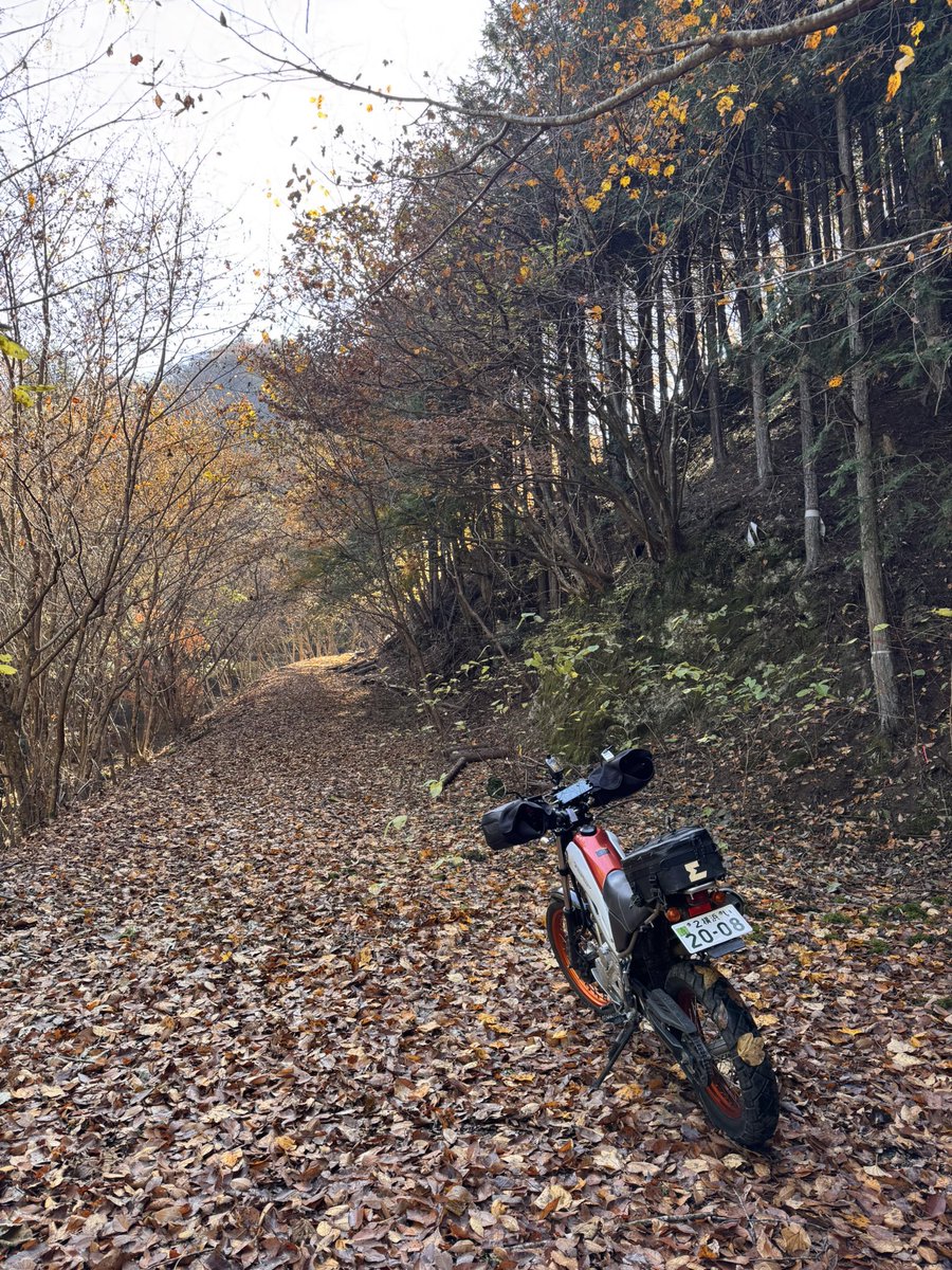 CzajkaMotors's tweet photo. #本日の行き止まり そのに　落ち葉だらけで石が隠れてて最後は行き止まり
戻ってくるときのほうが止まらなくて怖かった
やっぱりタイヤ変えたほうがいいな
. 
#tricker #トリッカー #yamahatricker https://t.co/SLXOkFh1vZ
