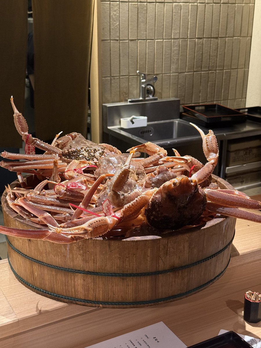 夜盘走高，是机会还是陷阱？🤯

简单粗暴 猜今日剧情：高开高走 or 高开低走 or 高开低走又高走？

评论区留言，附上你的 MSX 地址

猜对的，麦麦直接打点钱，请你吃大螃蟹🤓