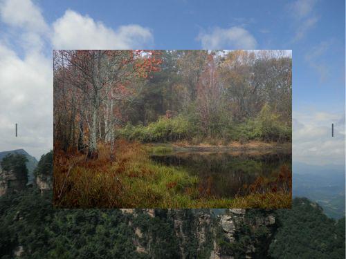 DatabaseLog's tweet image. 🛻Gardens teach, patience wins. Grow.📽Morning coffee, mark