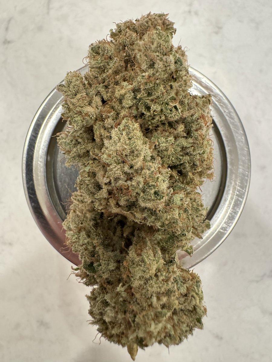 Bananacane by <a href="/InhouseGenetics/">Inhouse Genetics</a> from my last harvest 🔥