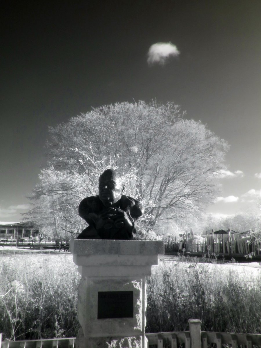 Mike Feetham tweet media