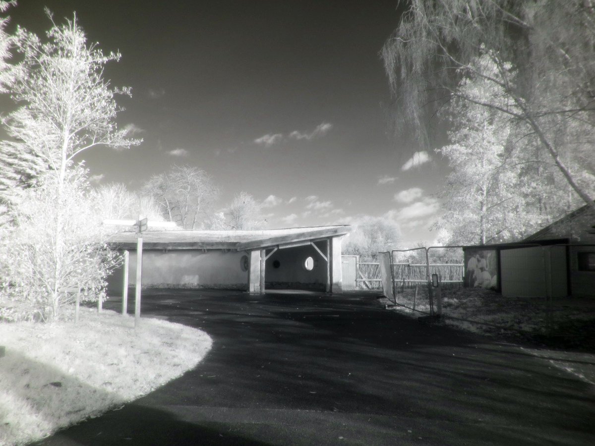 Mike Feetham tweet media