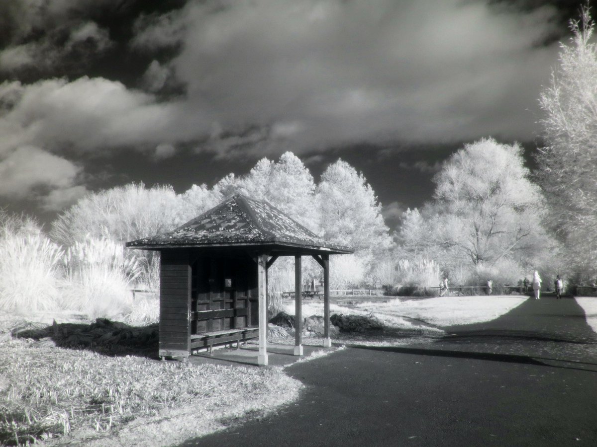 Mike Feetham tweet media