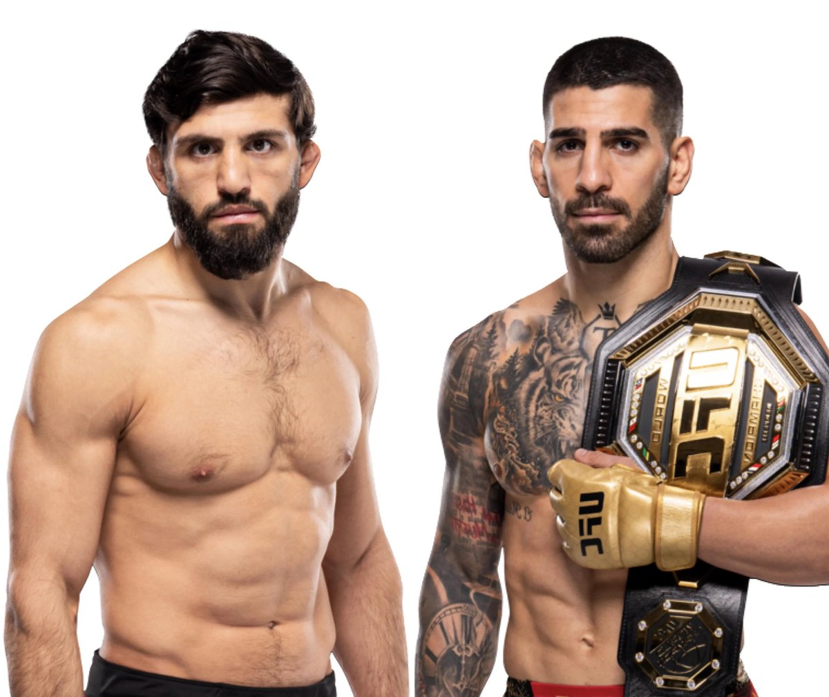 Dovy🔌 tweet media