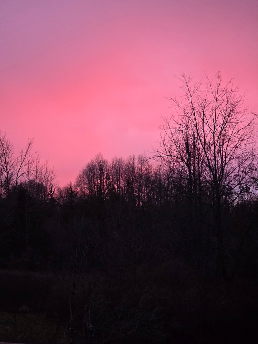 beautiful pink sunset