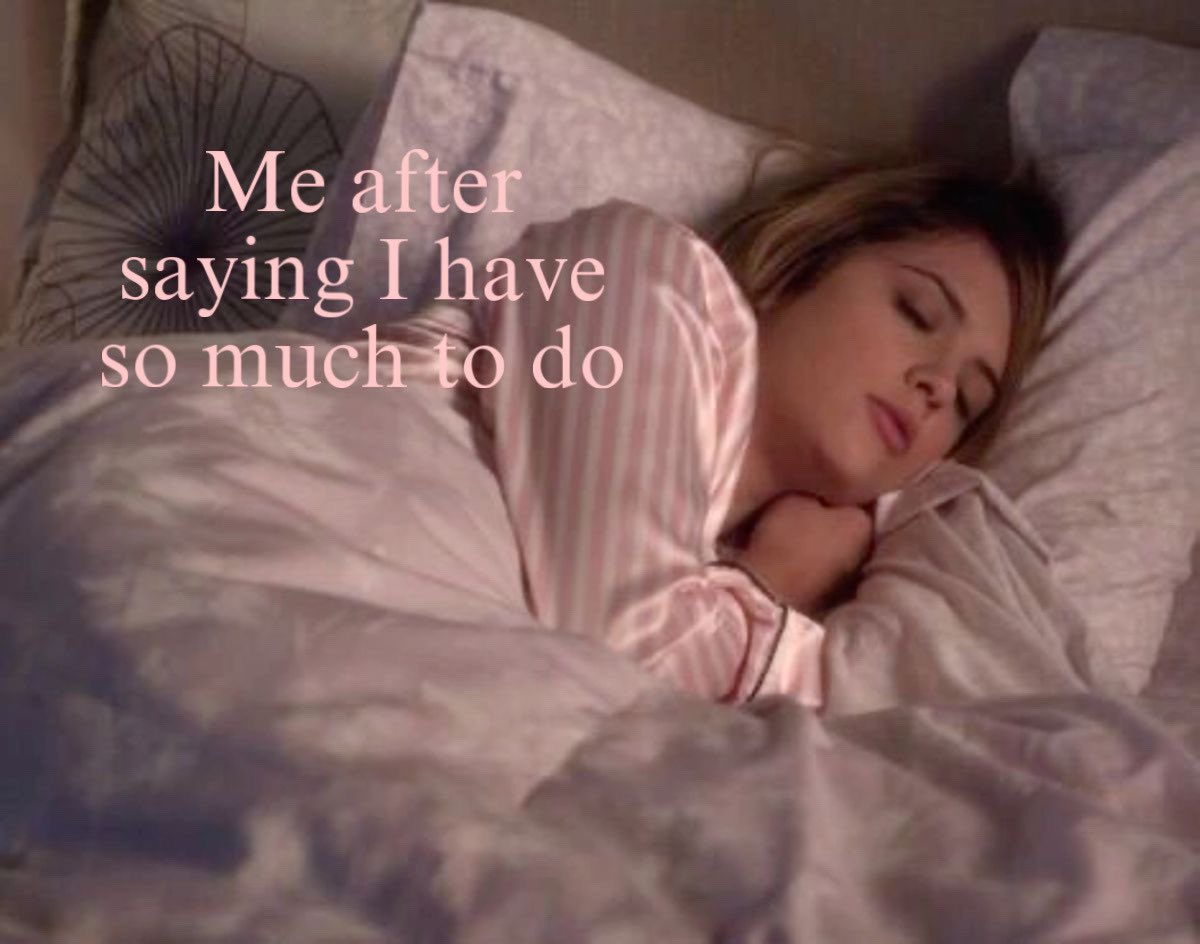 Out Of Context Animals (@animalscontexts) on Twitter photo 